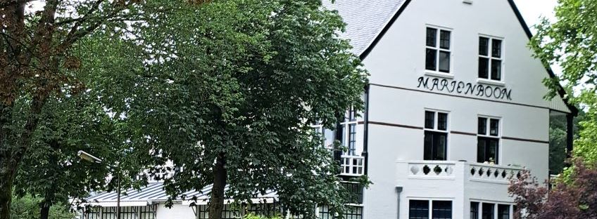 Marienboom, Groesbeekseweg (juli 2024)