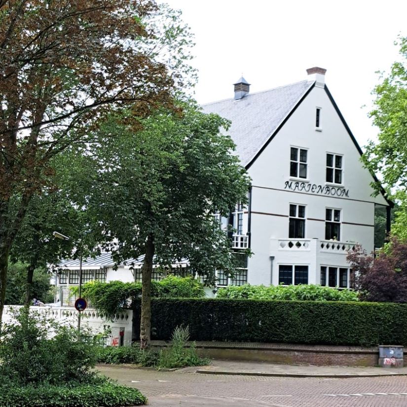 Marienboom, Groesbeekseweg (juli 2024)