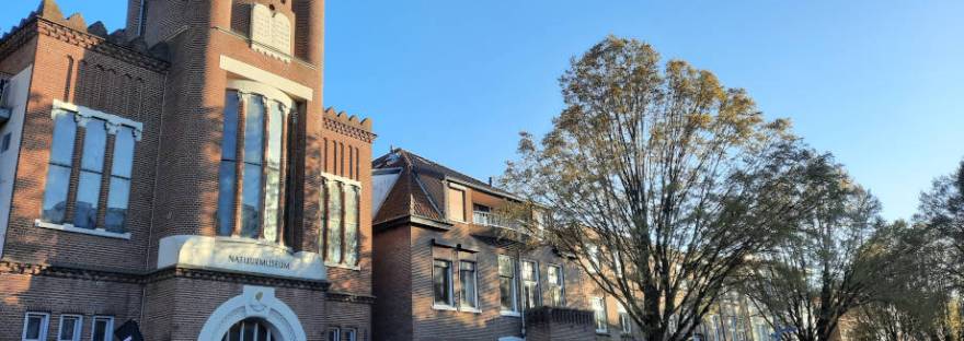 Synagoge Gerard Noodtstraat in april 2023, architect Oscar Leeuw