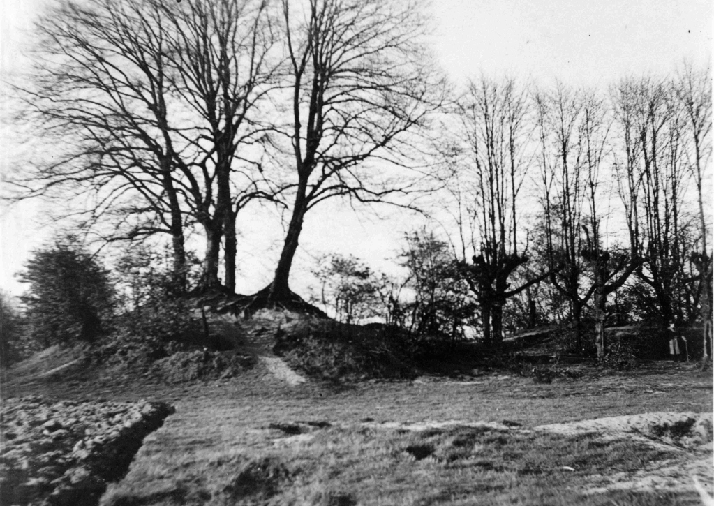 "Bij de Lindenlaan op de Kop, voordat de Kopse Hof ten behoeve der voedselvoorziening omgeploegd werd", maart 1941 (GN10068 RAN)