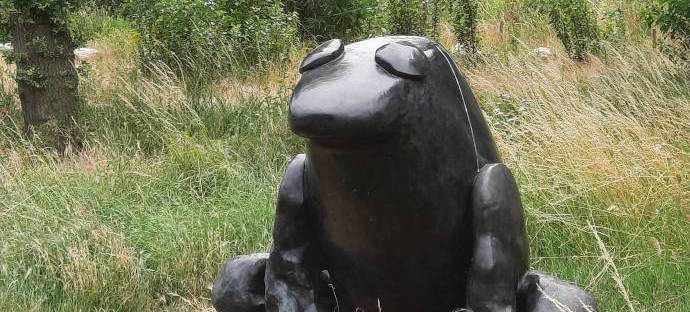 Zonder Titel, beeld Tom Claassen van een grote zwarte kikker. Gemaakt in 2010