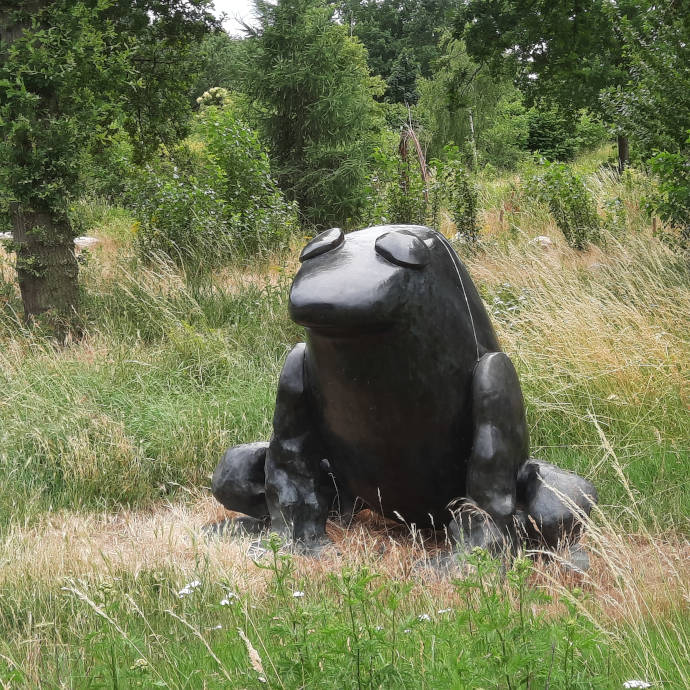 Zonder Titel, beeld Tom Claassen van een grote zwarte kikker. Gemaakt in 2010
