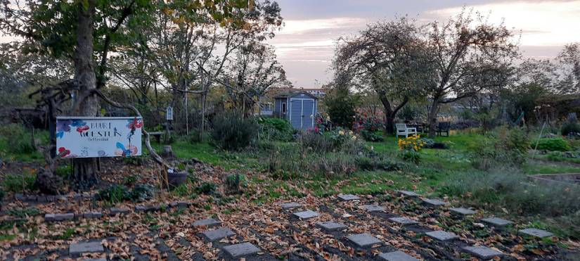 Buurtmoestuin Bottendaal (foto oktober 2022) Nijmegen