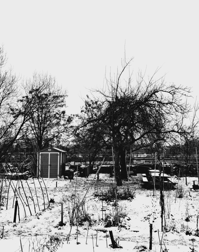 Buurtmoestuin Bottendaal (januari 2026)