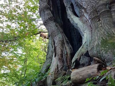 Stuwwal Beek Berg en&nbsp;Dal