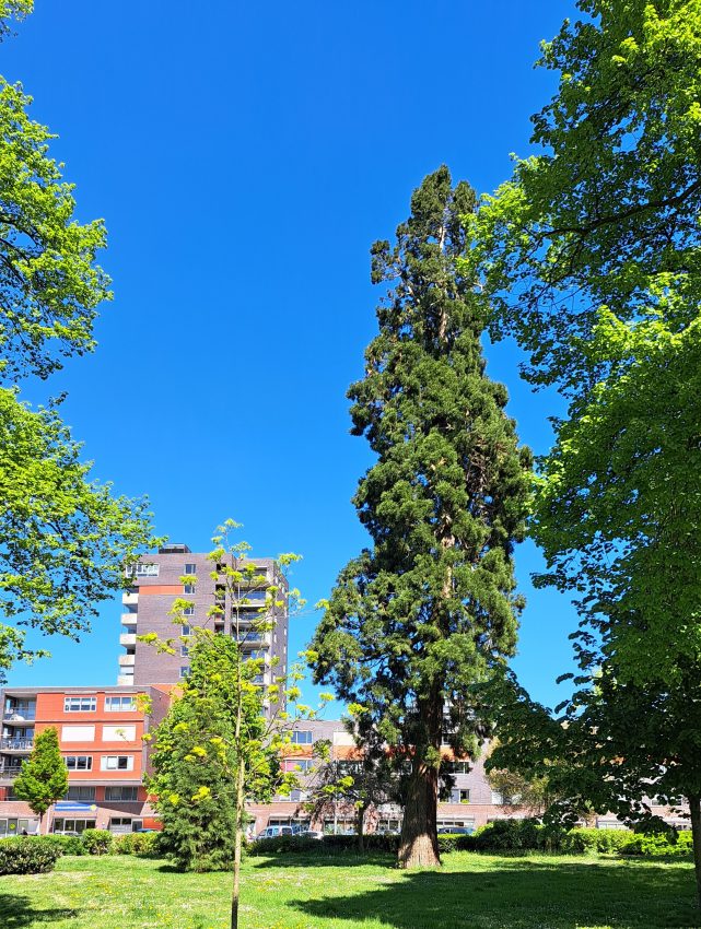 Biezen/Waterkwartier