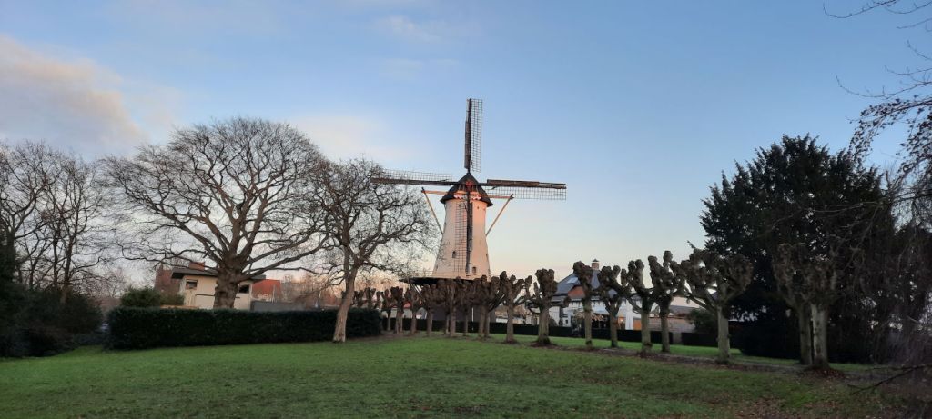 Looimolen Florapark Nijmegen januari 2021