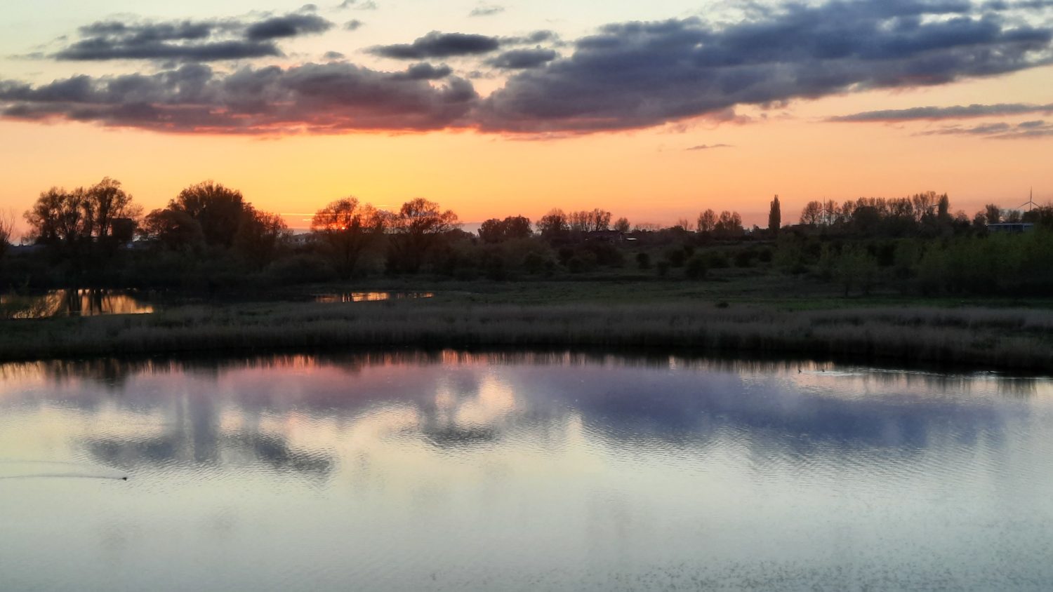 Oude Waal met 't laatste vogeltje bij zonsondergang (juni 2023)