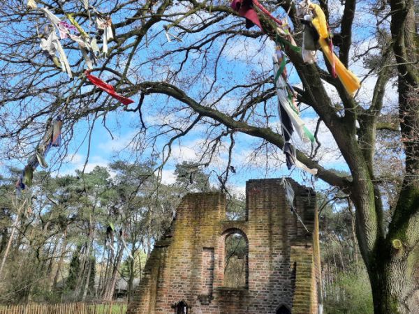 Ruine en Koortsboom Sint&nbsp;Walrick