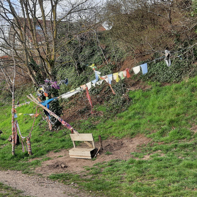 Groen in Spoorzone Bottendaal (juni 2023)