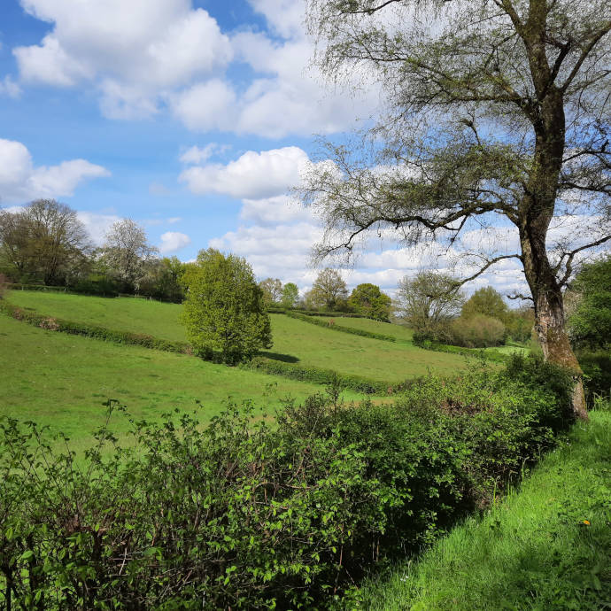 Velden stuwwal Beek Berg en Dal (foto april 2023)