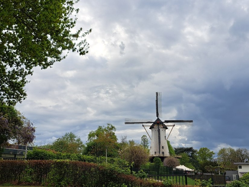 Looimolen of Witte Molen in Florapark (april 2025)