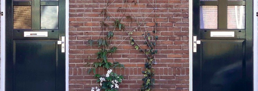 Tegels wippen in de Roerstraat: twee deuren en een struikje waar eerst tegels waren