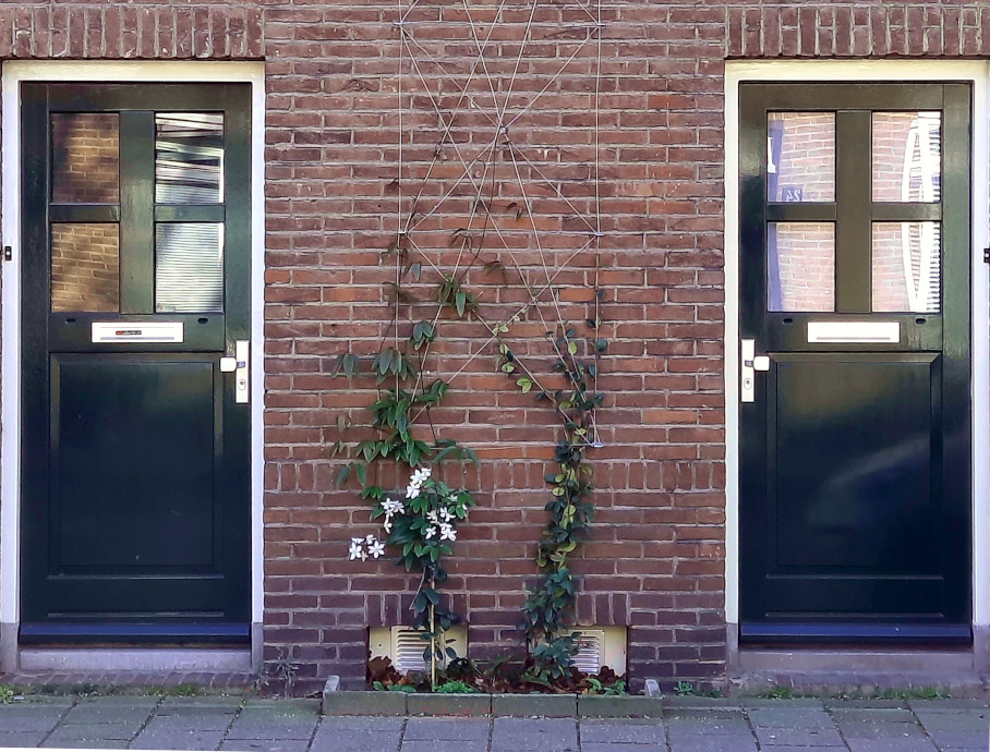 Tegels wippen in de Roerstraat: twee deuren en een struikje waar eerst tegels waren