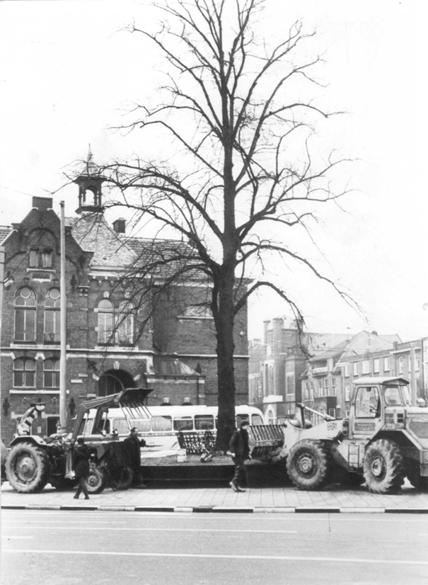 De Wilhelminaboom; op de achtergrond de Nutsschool, 31/3/1966 (Foto J.F.M. Trum via F20537 RAN CC-BY-SA)