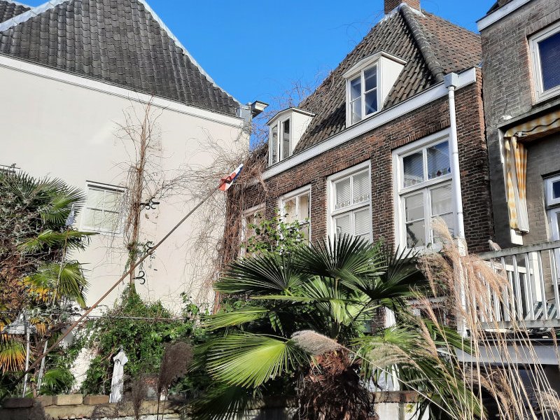 Binnentuin Begijnengas