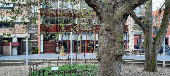 De Schommel, Henk Visch op de Raadhuishof