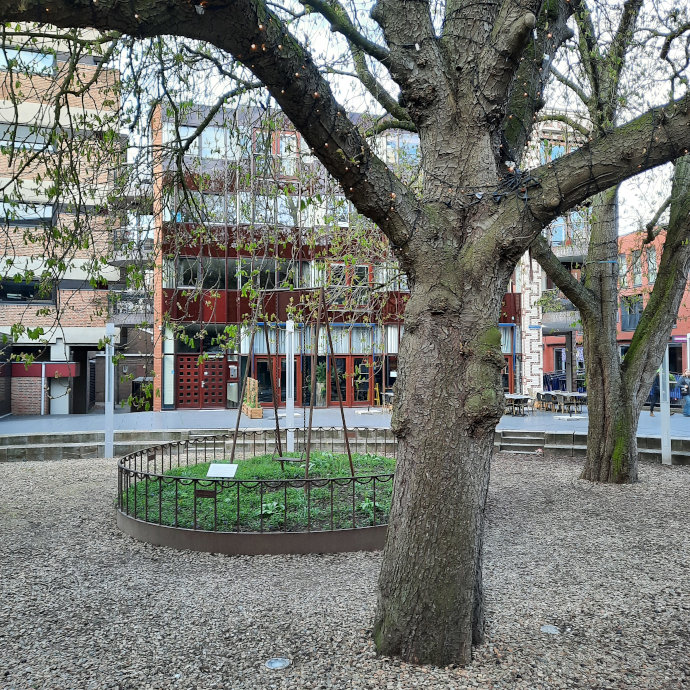 De Schommel, Henk Visch op de Raadhuishof