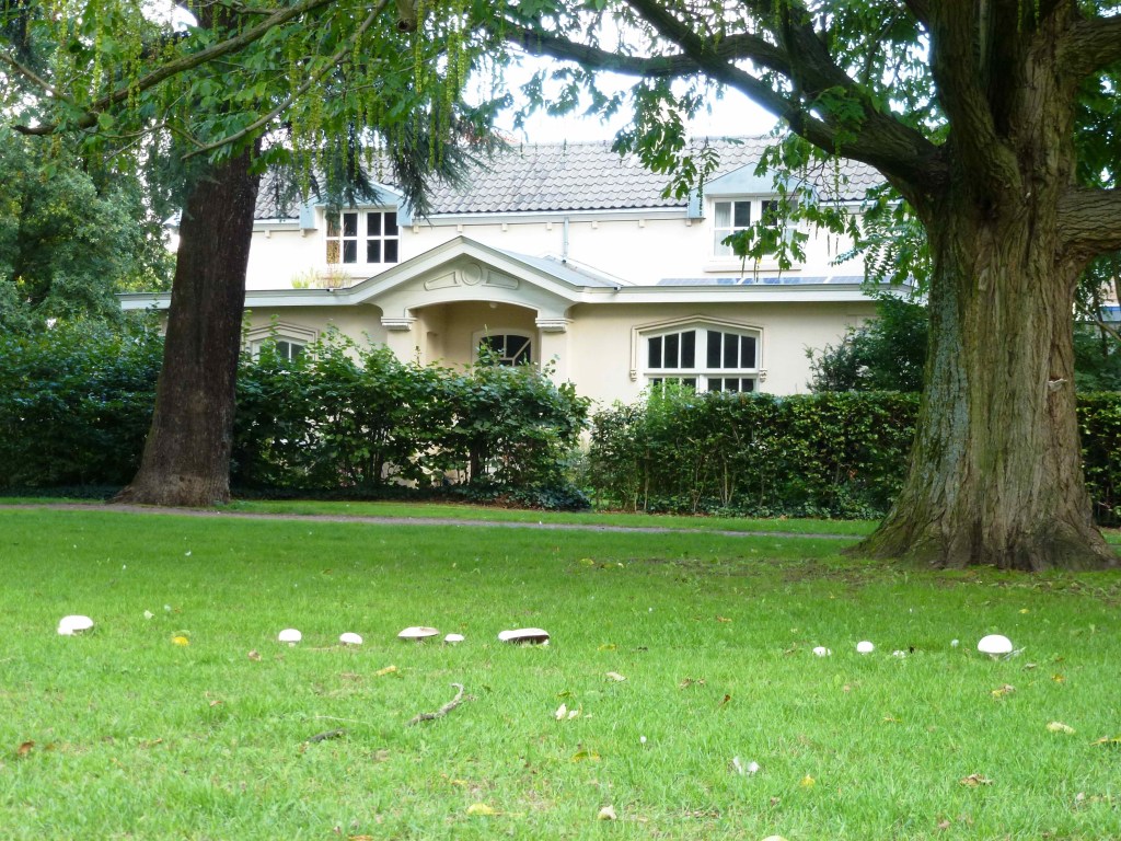 Villa Leeuwenstein. Oorspronkelijk in 1864 gebouwd als koetshuis door familie Metz-van Holst, 2013 (Henk van Gaal via DF4354 RAN CC0)