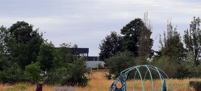 Gezonde Vis Carla Dijs Westerpark oorspronkelijk bij school Aquamarijn 2008