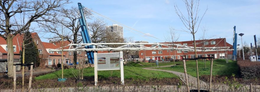 Maasplein maart 2023 Vergroening op het Maasplein Romeinse historie inzichtelijk