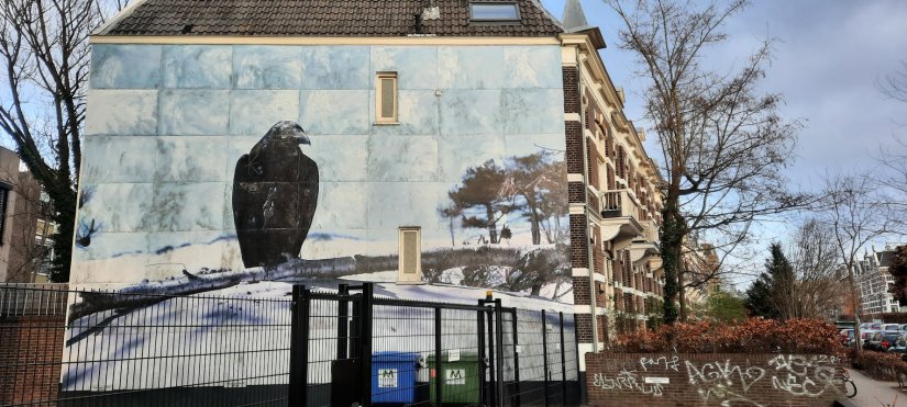 Muurschildering van een raaf in de van Oldenbarneveltstraat
