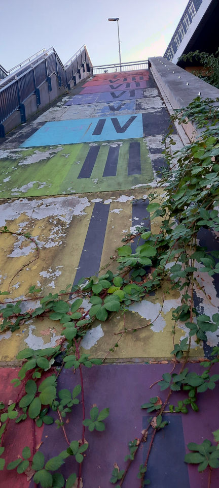 Romeinse cijfers Hezelpoort Snelbinder Carla Dijs (oktober 2022)