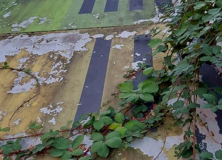 Romeinse cijfers Hezelpoort Snelbinder Carla Dijs (oktober 2022)