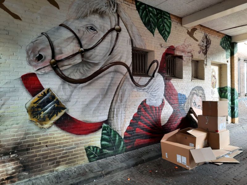 Stad in Opkomst, Sander Dolstra &&nbsp;Combolution