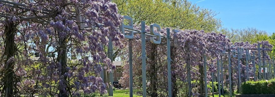 Westerpark in de lente (april 2026)