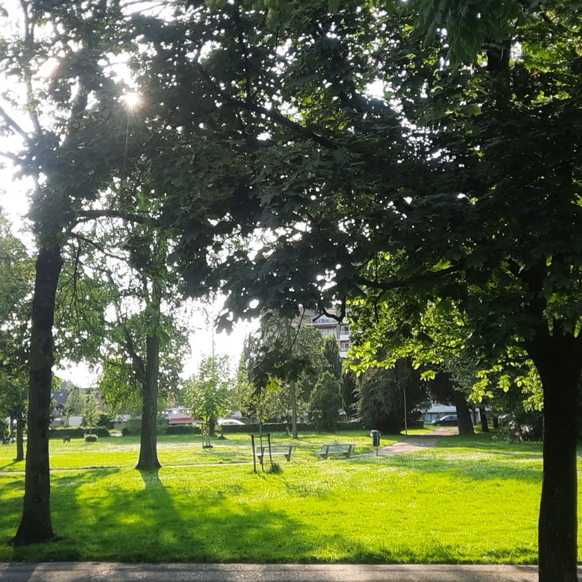 Park Leeuwenstein 202308