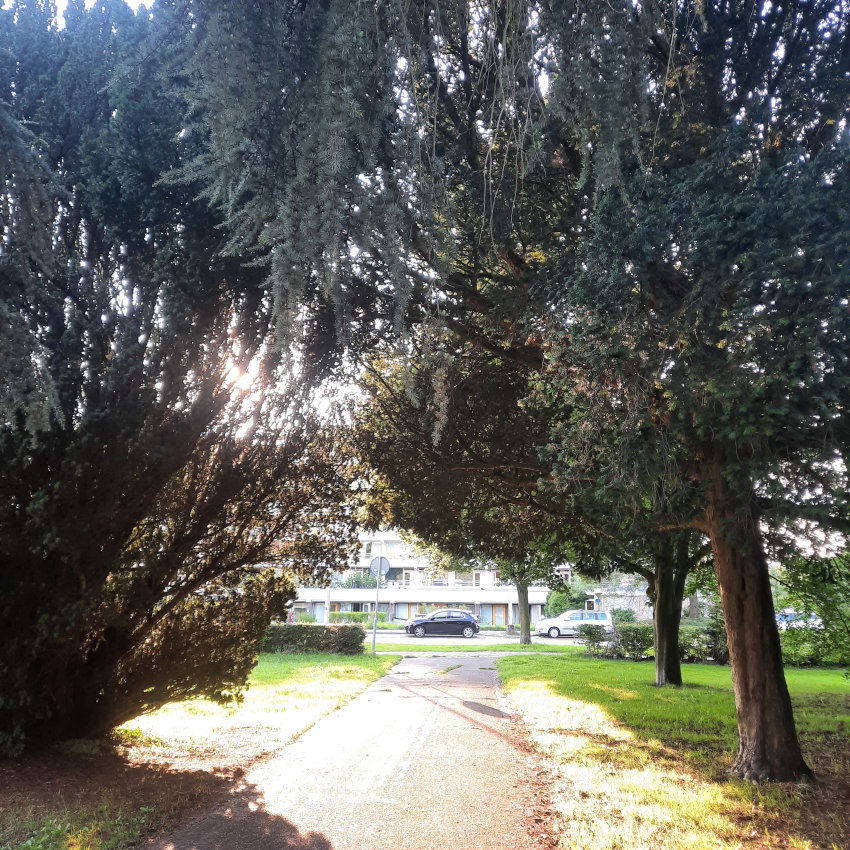 Park Leeuwenstein pad, augustus 2023