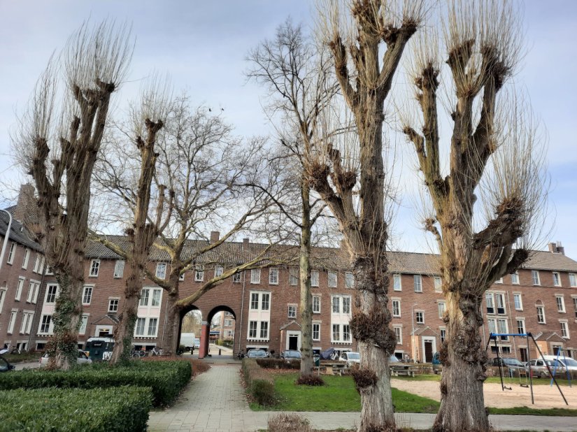 Pieter Postplein met poortgebouw. Waar vroeger een graseld lag, ligt nu een speelplaats. Architecten Evers en Sarlemijn