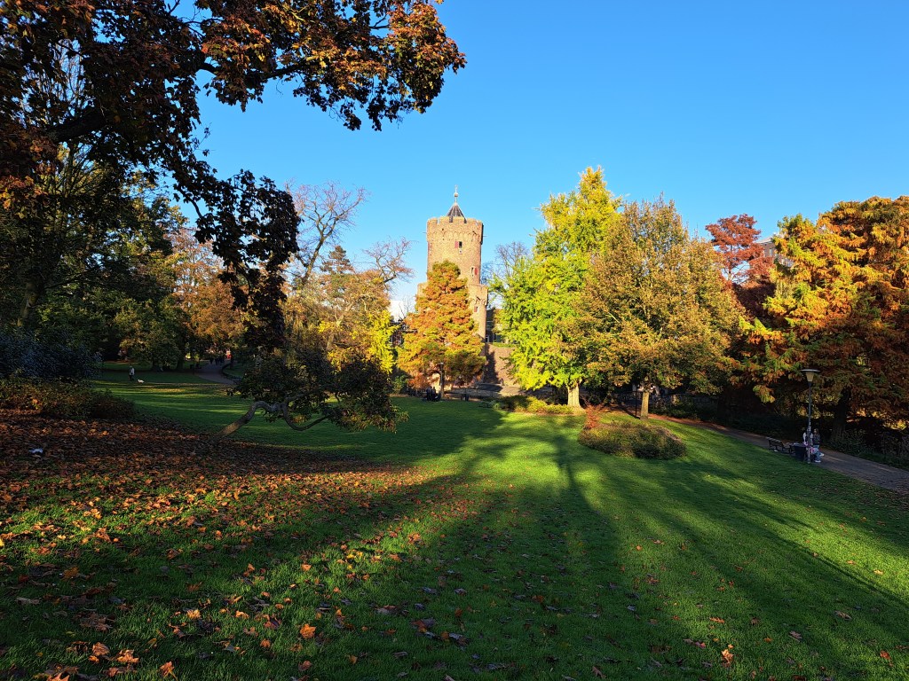 Kronenburgerpark in herfstzon (november 2024)