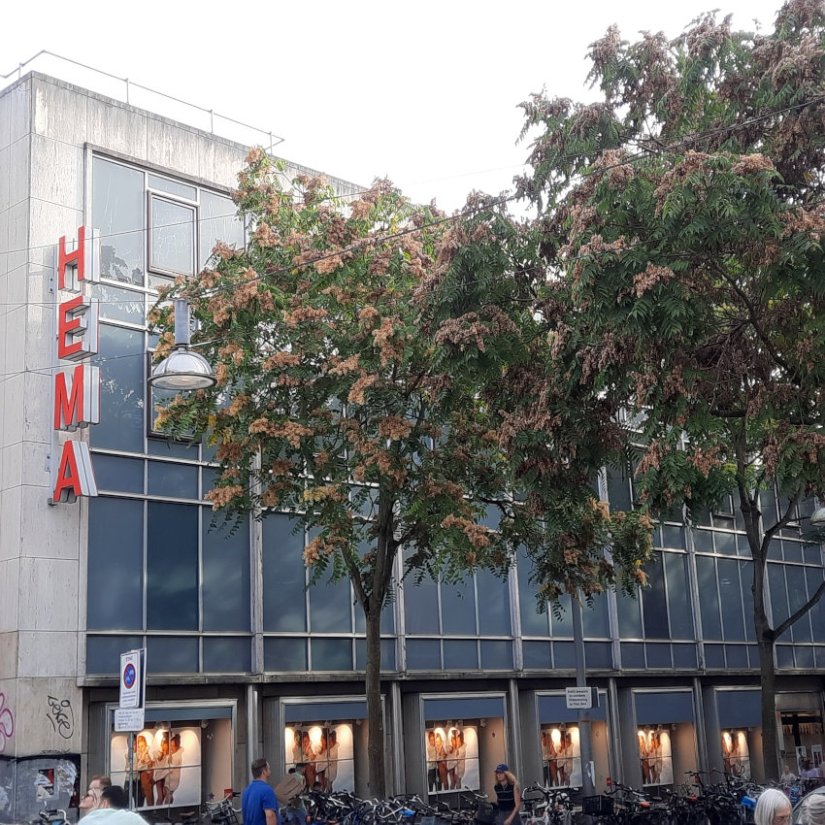 Hema, kant Augustijnenstraat, oktober 2023 architect Elzas