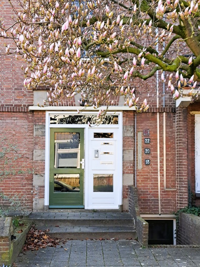 Ingang appartementen Molukkenstraat architect Kuipers maart 2026