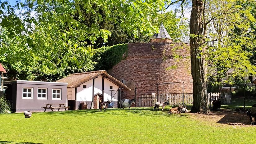 Stallen in Kronenburgerpark (april 2024)