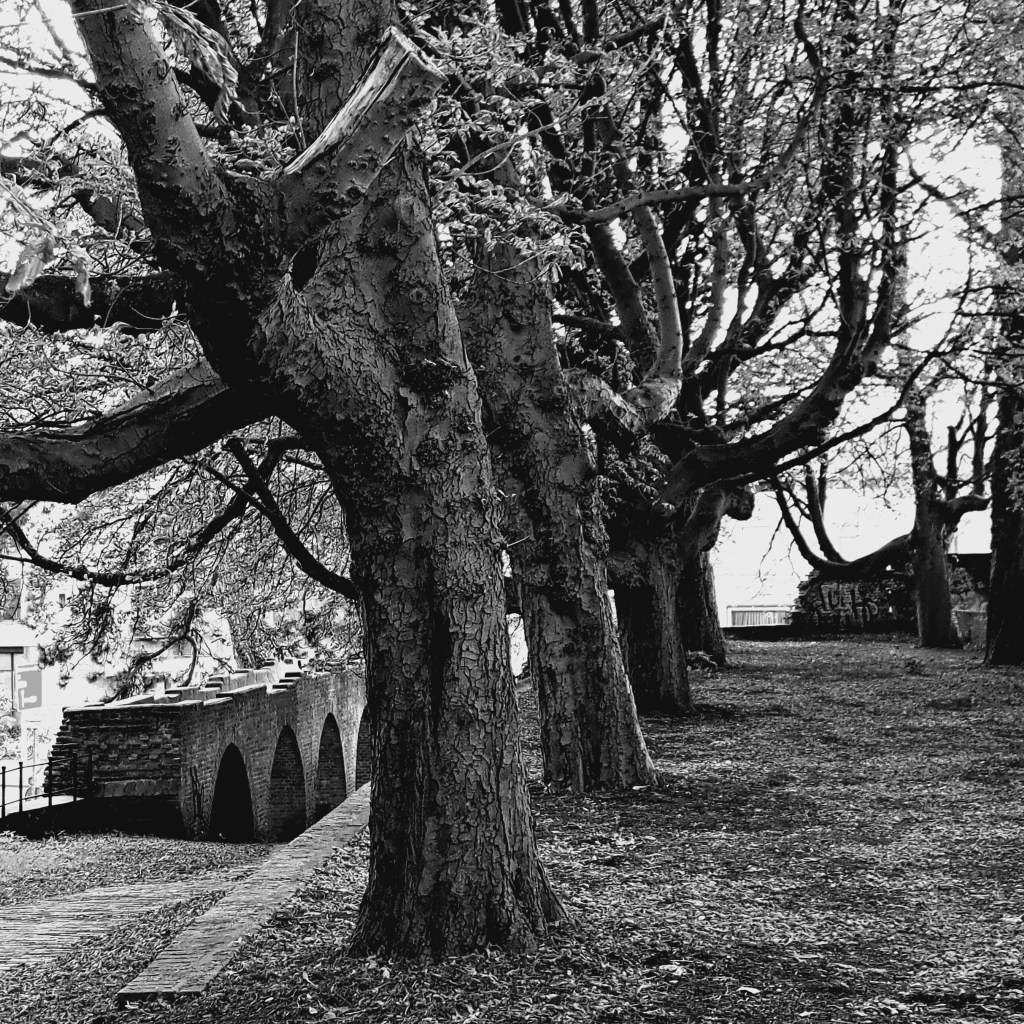 Hunnerpark (september 2024)