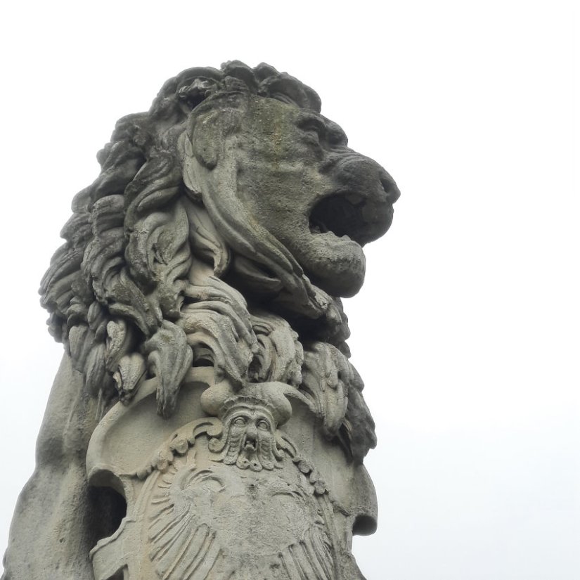 De kop van de Leeuw, door vader en zoon Leeuw in Kronenburgerpark, oktober 2023