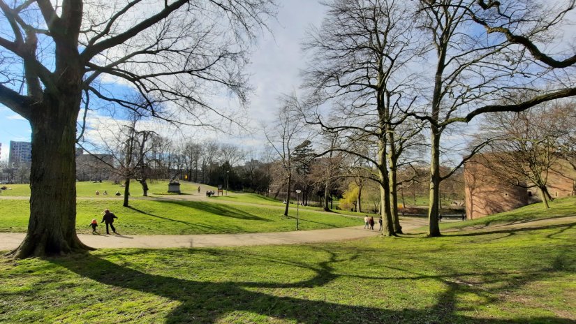 Roomse Voet in Kronenburgerpark, maart 2021