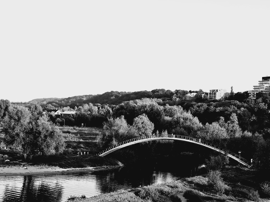 Stadswaard met op de voorgrond de Ooypoort (september 2024)