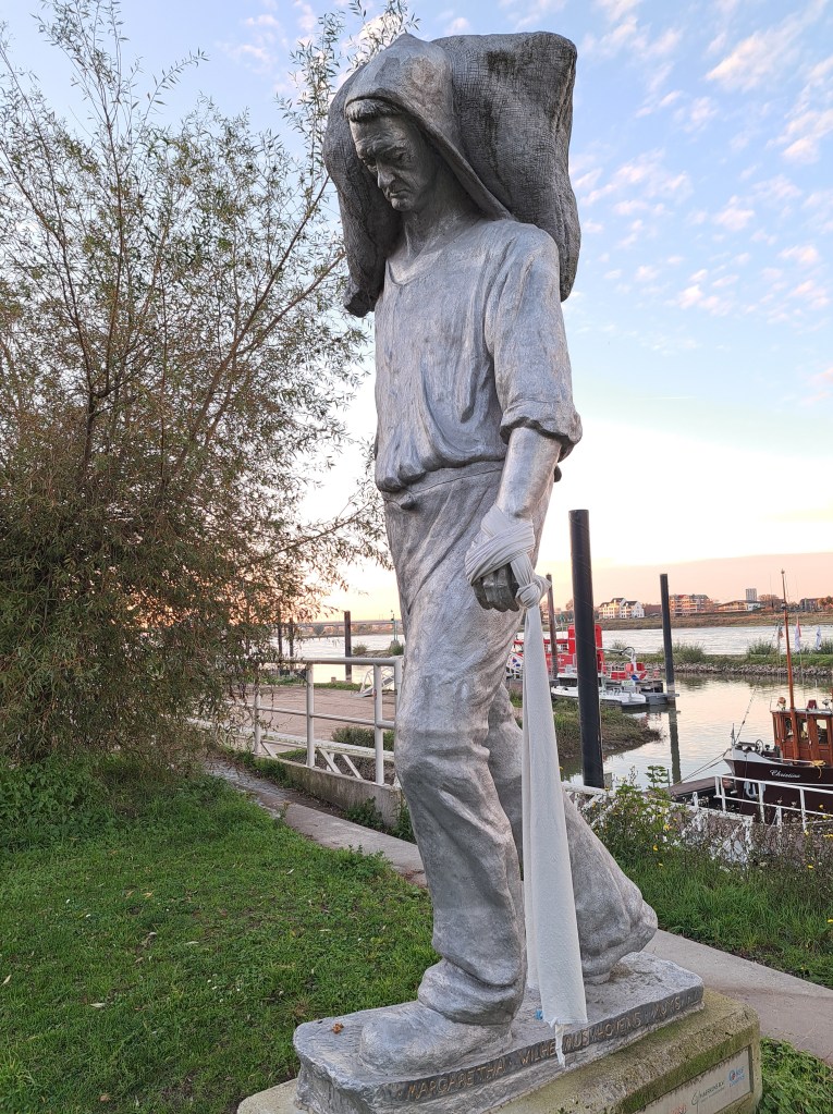 Een gewonde Kaaisjouwer (oktober 2024)