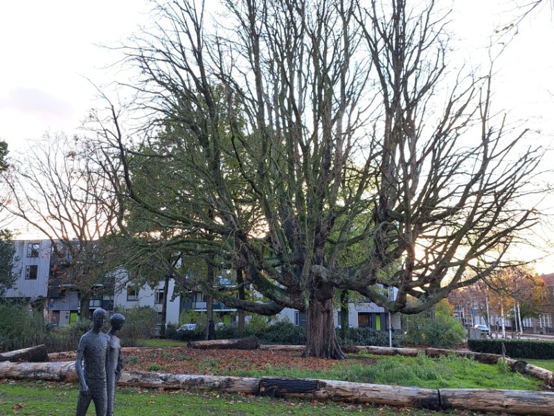 Julianapark en begraafplaats