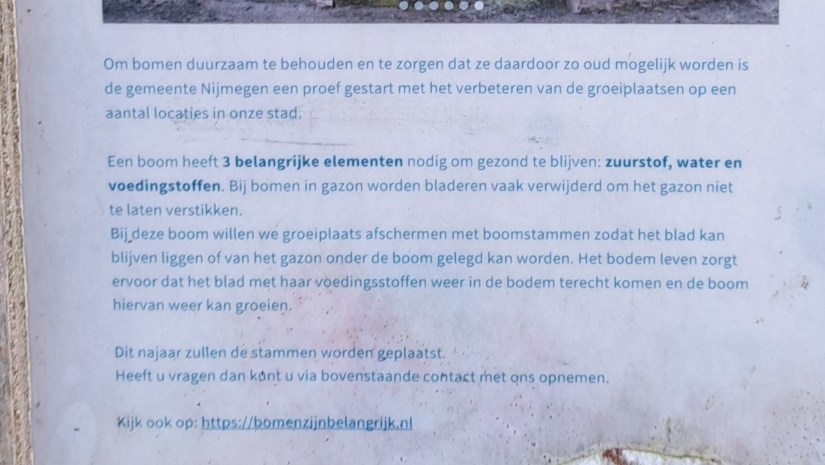 Bordje bij boom Julianapark (oktober 2025)