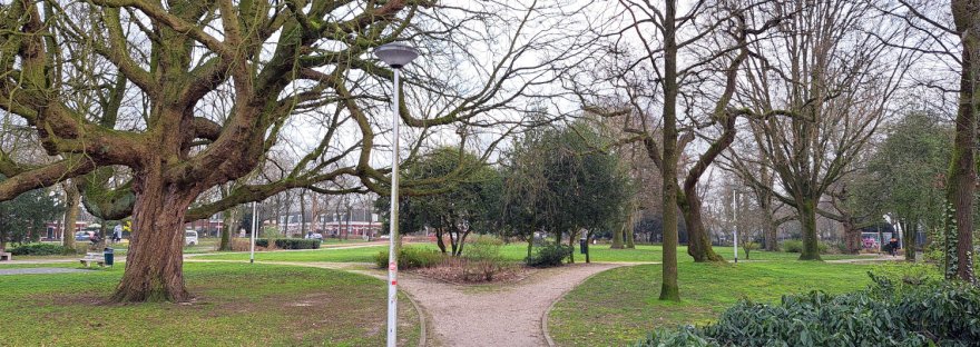 Julianapark aan de Prins Hendrikstraat met veel oude bomen en moderne sculpturen