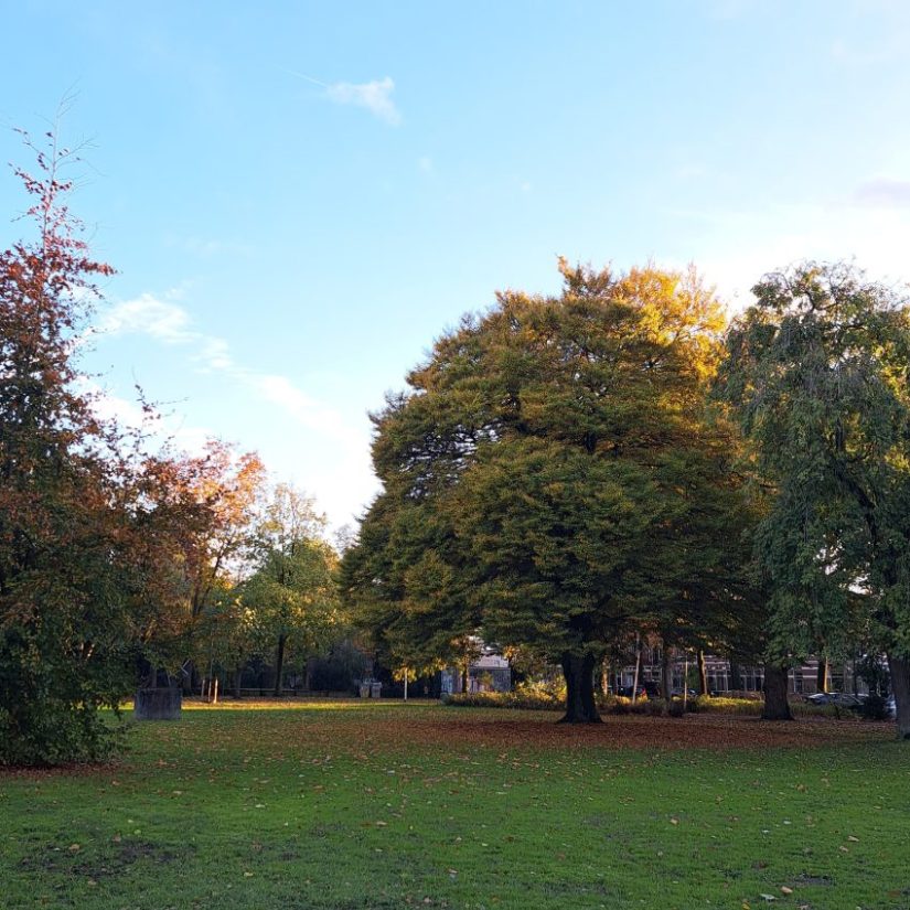 Julianapark in de herfst (oktober 2025)