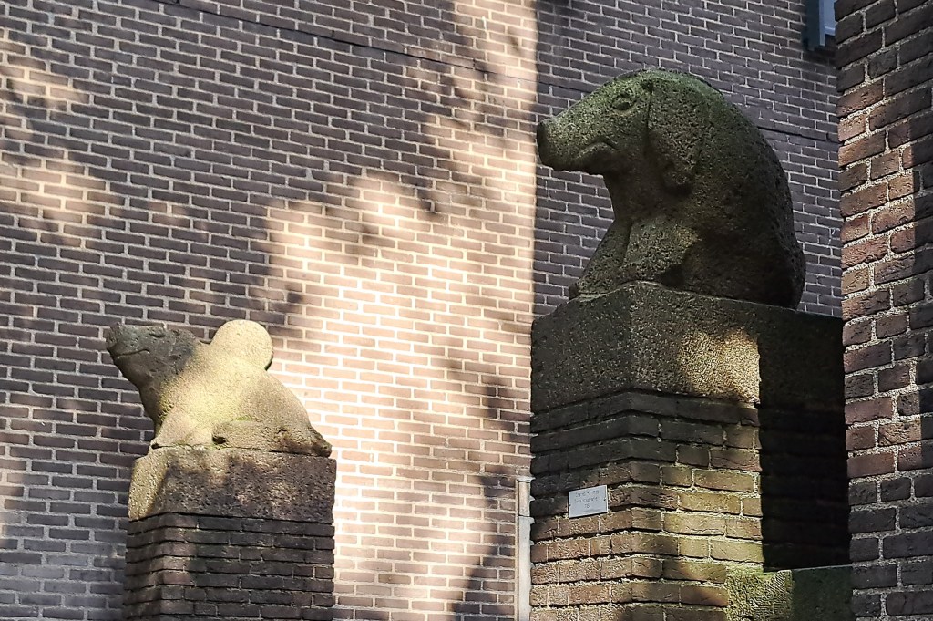 Spaarvarkens, beelden van Hammes (september 2024)