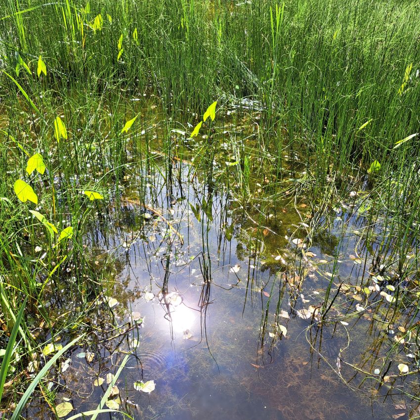 ven educatieven educatieve natuurtuin Goffertpark juli 2024