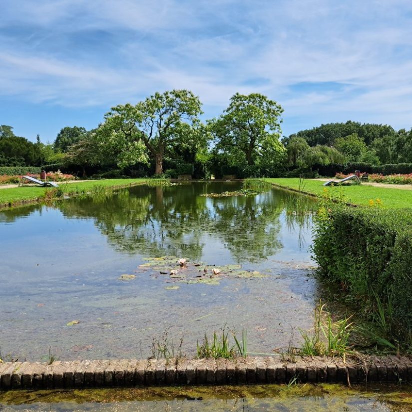 Vijver bij rosarium Goffertpark (juli 2024)
