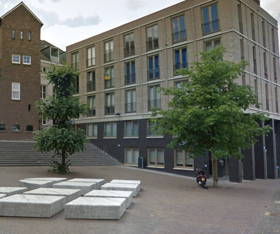 De etagelinde (links) op het Gebroeders van Limburgplein, juli 2019 (Google Streetview)